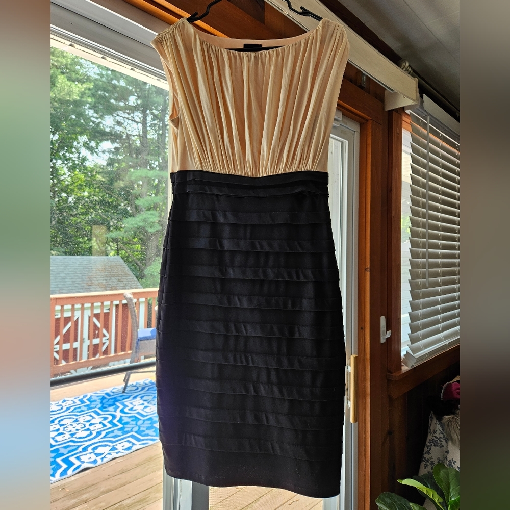 Women's Black and Rose Bodycon Dress